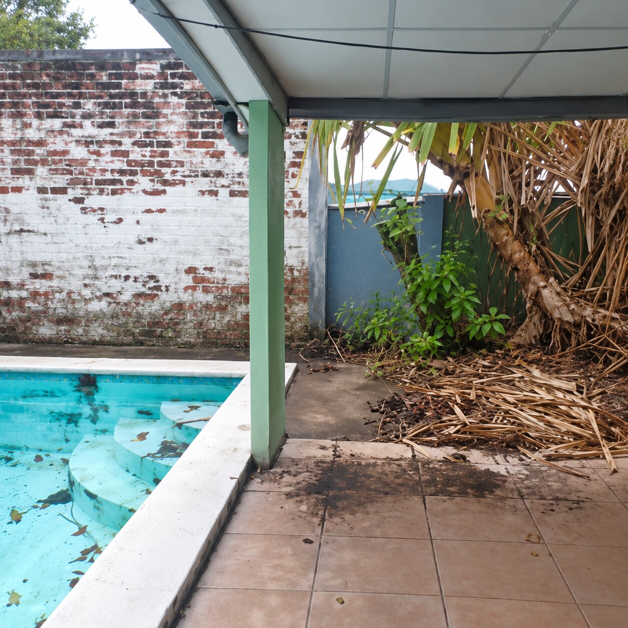 Fotografía de patio