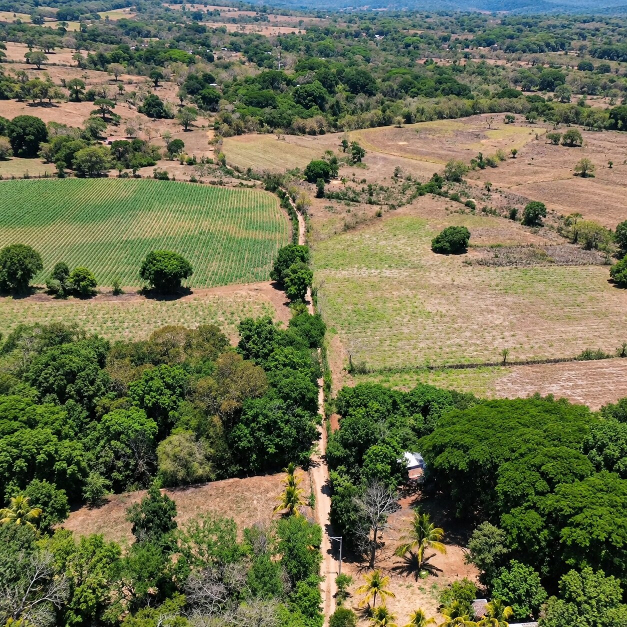 Entorno aéreo